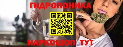 дживик Ачхой-Мартан