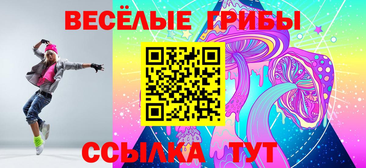 Саранск  Галлюциногенные грибы мицелий  Вход с VPN  Галлюциногенные грибы Psilocybe 
